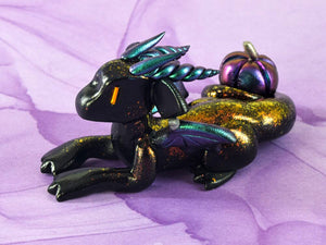 Black color-shift pumpkin dragon