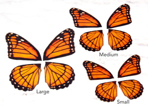 Miniature monarch butterfly wings