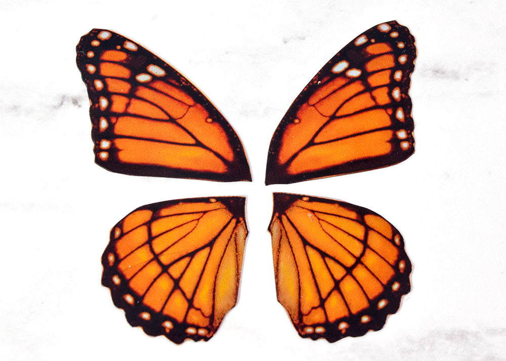 Miniature monarch butterfly wings