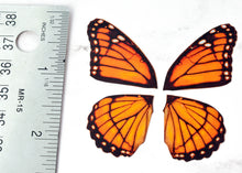 Load image into Gallery viewer, Miniature monarch butterfly wings