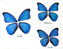 Load image into Gallery viewer, Miniature blue morpho butterfly wings