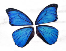 Load image into Gallery viewer, Miniature blue morpho butterfly wings