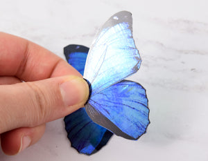 Miniature blue morpho butterfly wings