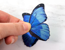 Load image into Gallery viewer, Miniature blue morpho butterfly wings