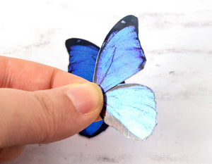 Miniature blue morpho butterfly wings