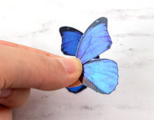 Load image into Gallery viewer, Miniature blue morpho butterfly wings